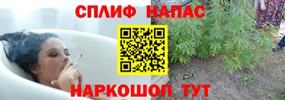 стафф Краснодар