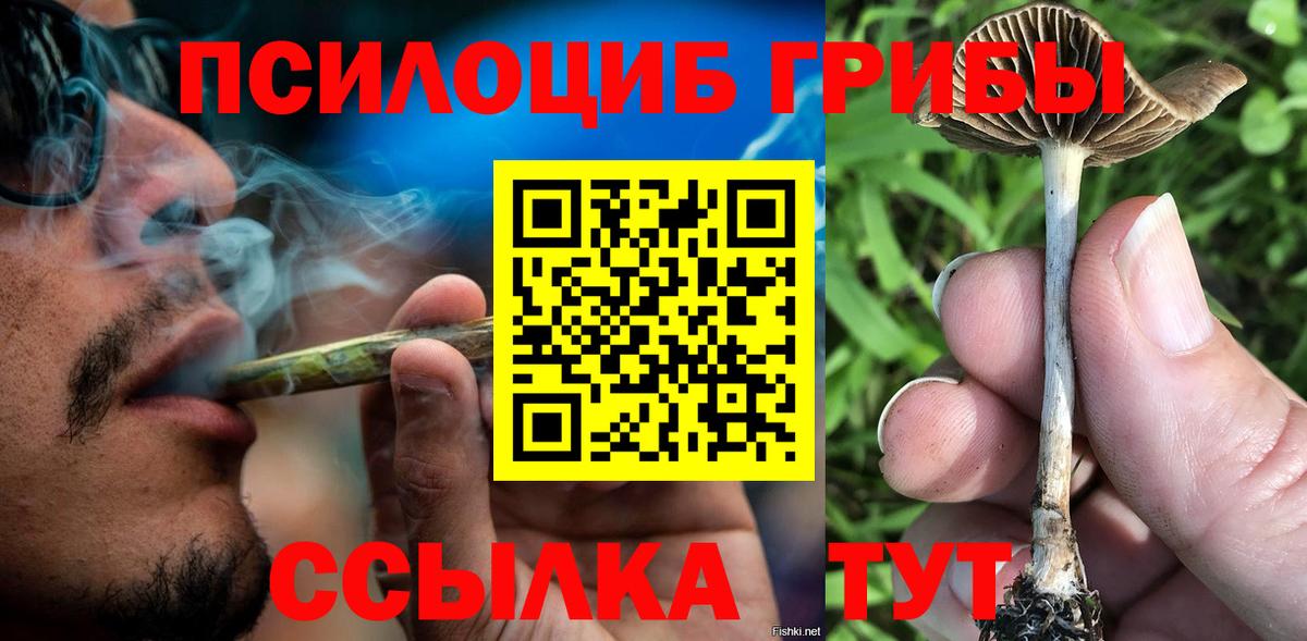 Псилоцибиновые грибы прущие грибы Холмск