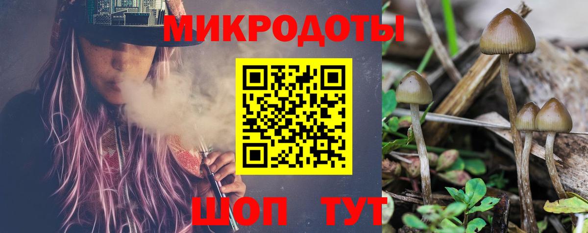 Псилоцибиновые грибы Psilocybine cubensis  Псилоцибиновые грибы мухоморы  Вход с VPN  Холмск 